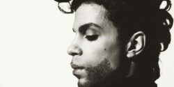 Prince’in öldüğüne inanamıyoruz, “Öldü” demeye dilimiz varmıyor